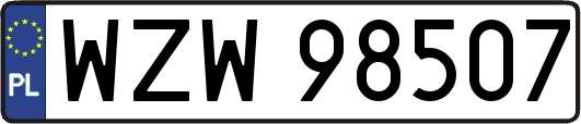 WZW98507