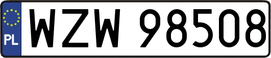 WZW98508