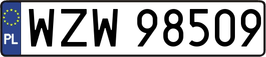 WZW98509