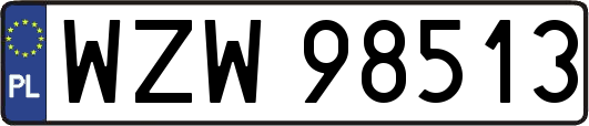 WZW98513