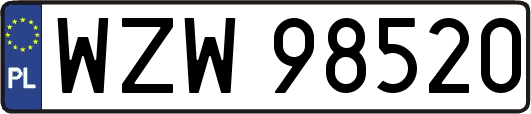 WZW98520