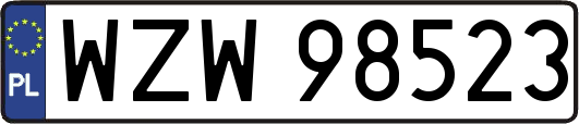 WZW98523