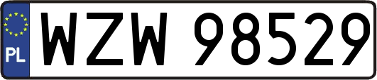 WZW98529