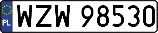 WZW98530