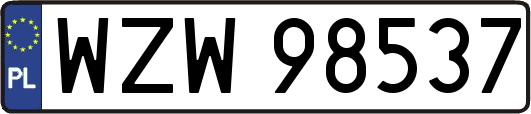 WZW98537