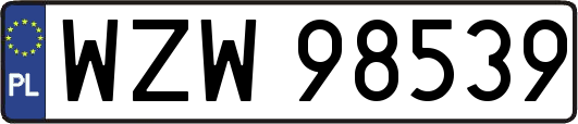 WZW98539