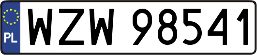 WZW98541