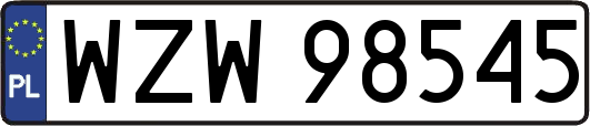 WZW98545