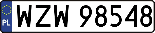 WZW98548