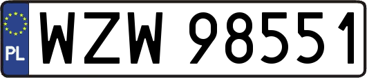 WZW98551