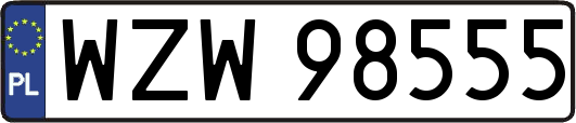 WZW98555