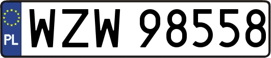 WZW98558