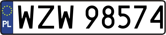 WZW98574