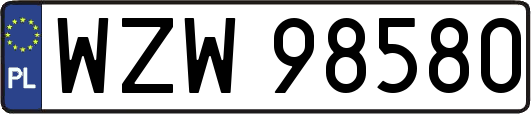 WZW98580