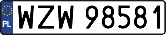 WZW98581