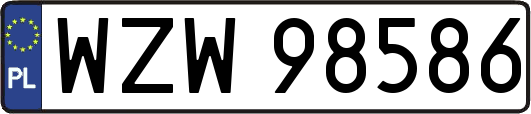 WZW98586
