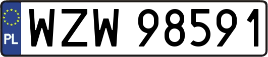 WZW98591