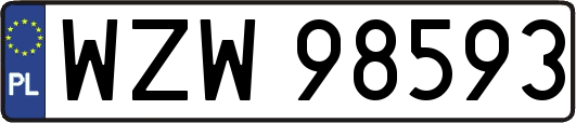 WZW98593