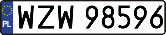 WZW98596