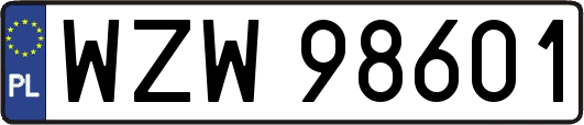 WZW98601