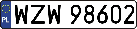 WZW98602