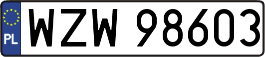 WZW98603