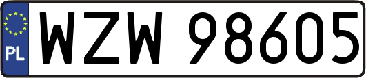 WZW98605