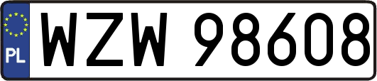 WZW98608