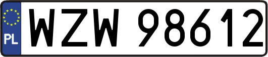 WZW98612