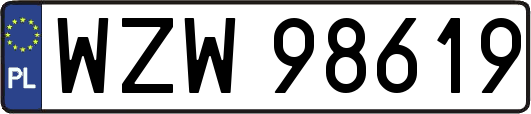 WZW98619