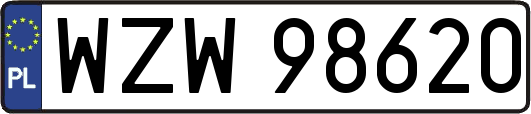 WZW98620