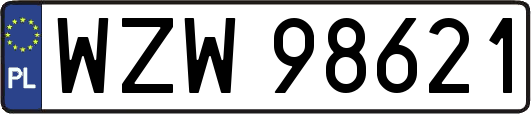 WZW98621