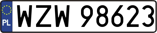 WZW98623