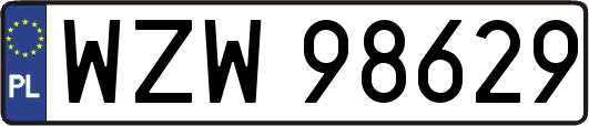 WZW98629