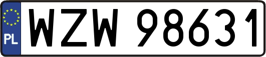 WZW98631