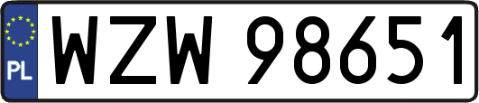 WZW98651