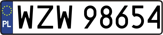 WZW98654