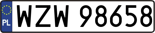 WZW98658