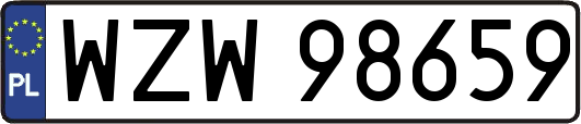 WZW98659