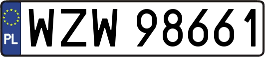 WZW98661
