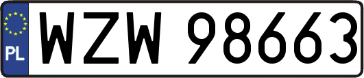 WZW98663