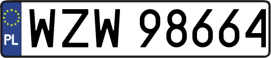 WZW98664