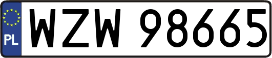 WZW98665