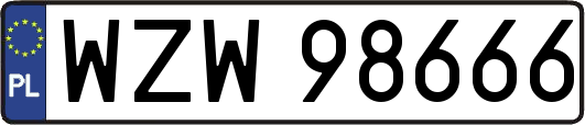 WZW98666