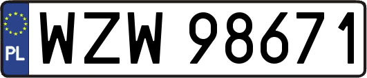 WZW98671