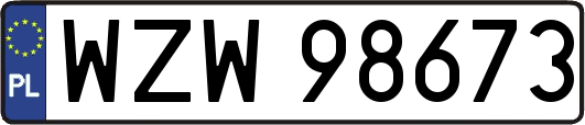WZW98673