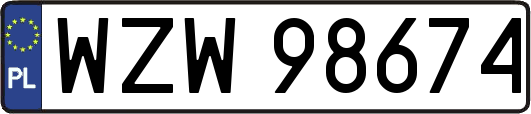 WZW98674