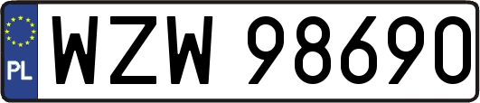 WZW98690