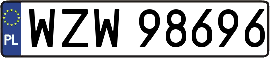 WZW98696