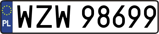 WZW98699